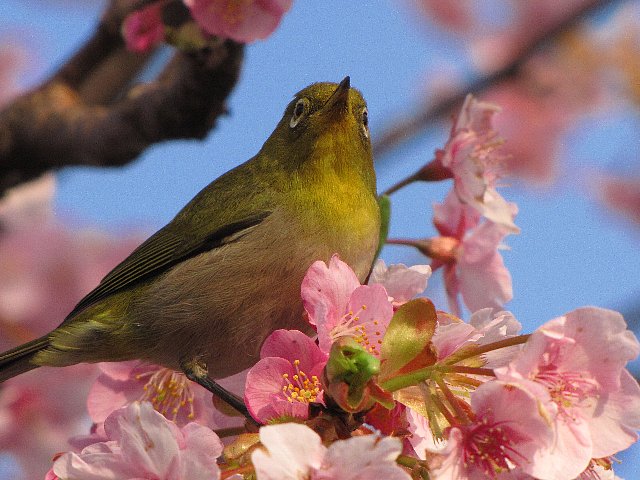 �͒Í��ƃ��W��