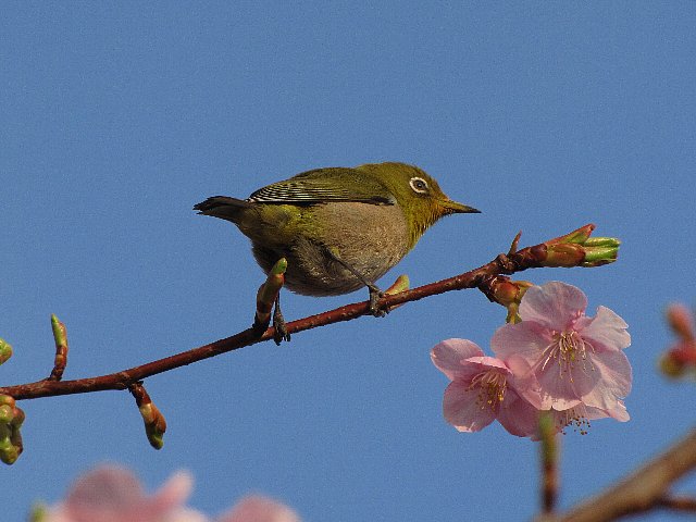 �͒Í��ƃ��W��