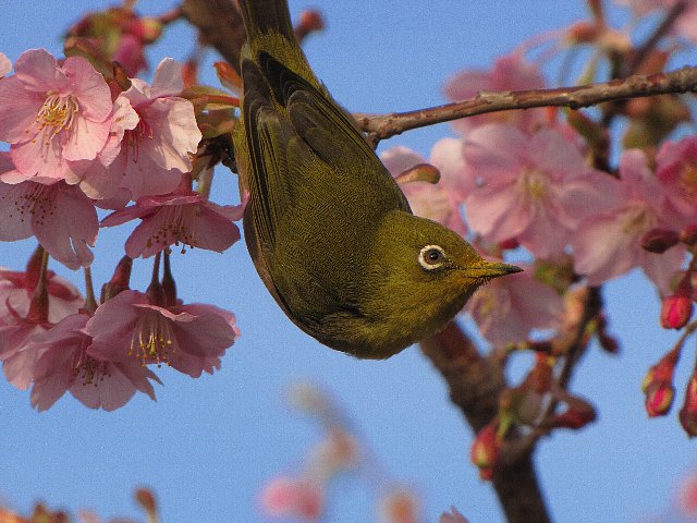 �͒Í��ƃ��W��