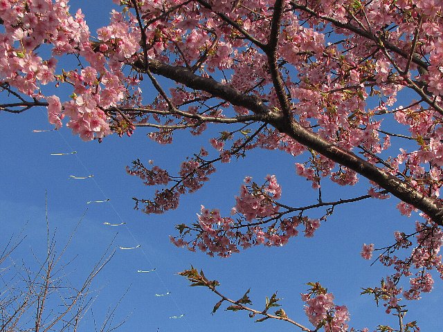 �͒Í��ƘA��