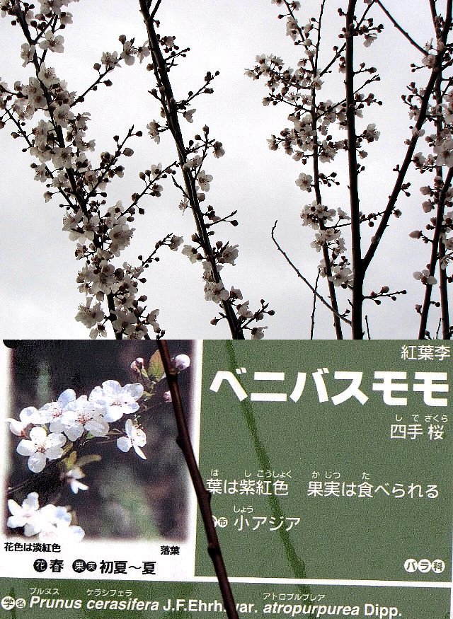 �x�j�o�X����