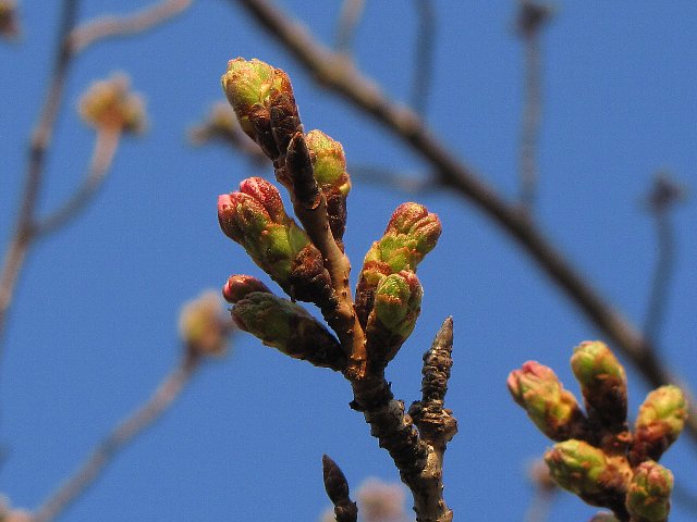 �\���C���V�m