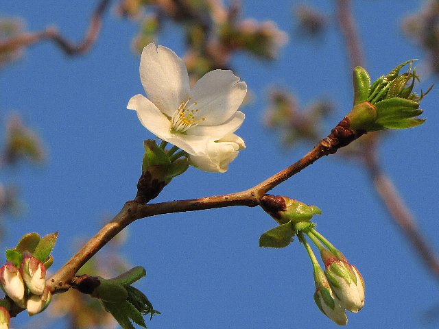 �I�I�V�}�U�N��