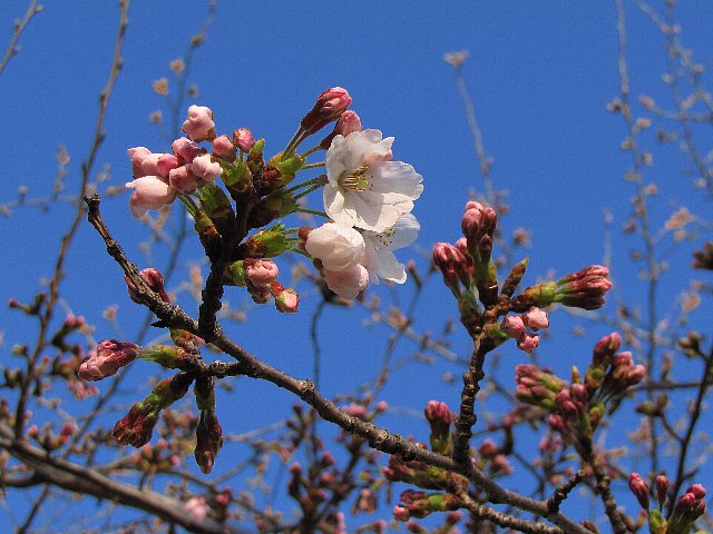 �\���C���V�m