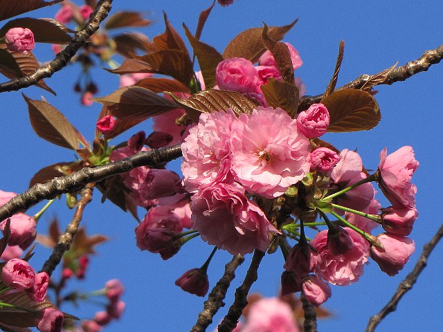 �J���U��