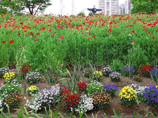 �s���哇���������