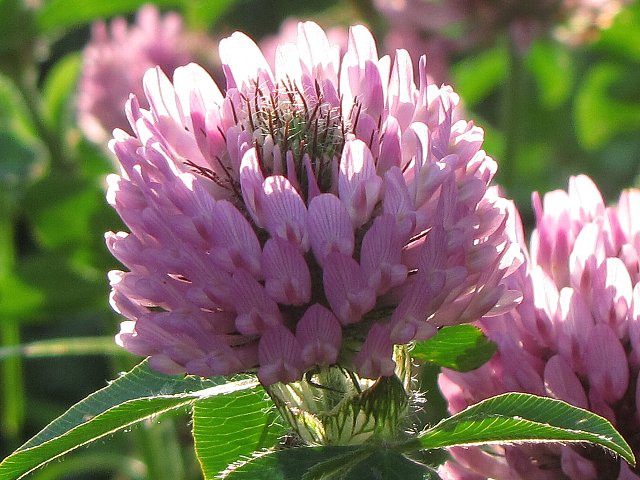 �����ߑ�