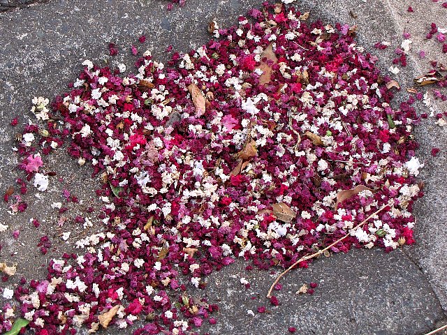 ���邷�ׂ�