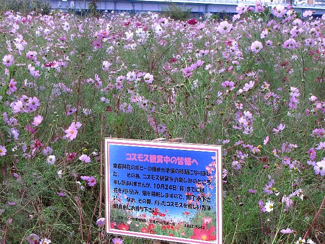 �R�X���X��