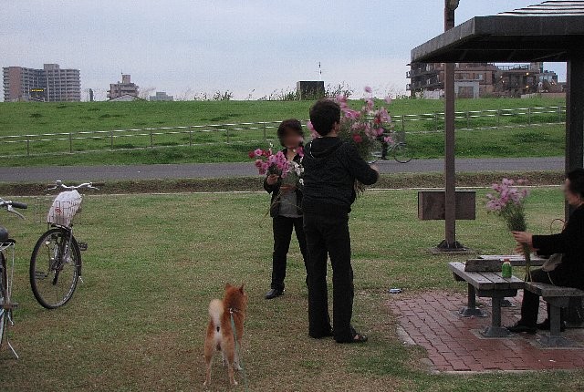 �R�X���X��