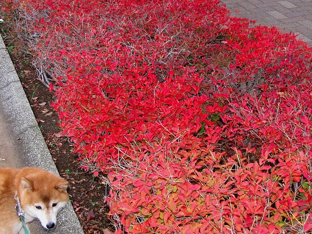 �h�E�_���c�c�W