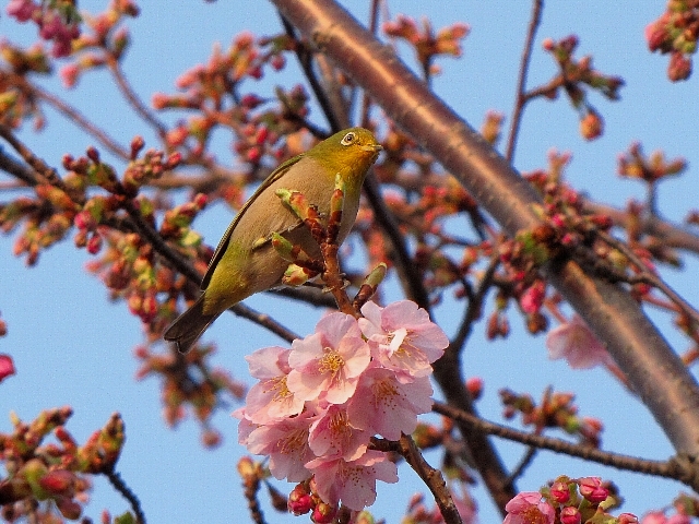 �͒Í��ƃ��W��