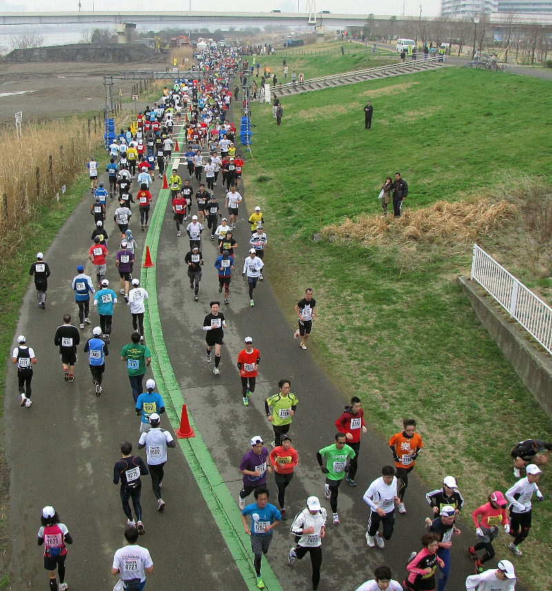 �}���\�����