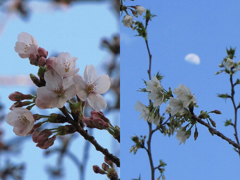 ��{���J��