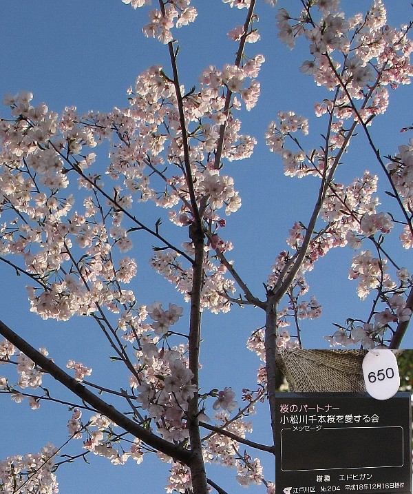 �G�h�q�K��