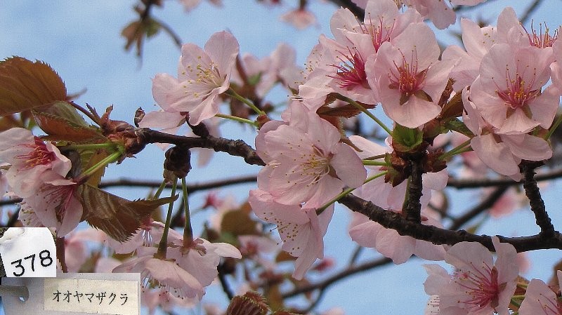 �I�I���}�U�N��