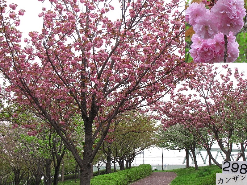 �J���U��