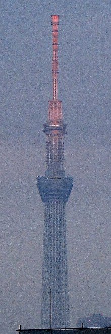 ���Ă��c���[