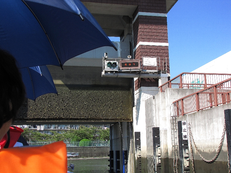 �������}��