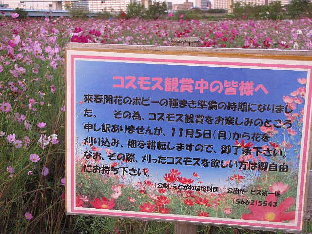 �R�X���X��