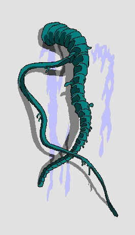 �o�I�[���K�� �` �񐶒��o�I�[