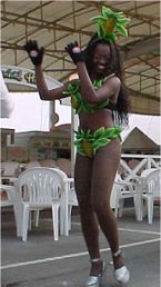 �J�[�j�o��o(^-^)o