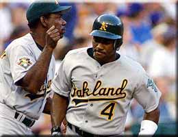 �P�����R���̃~�Q���E�e�n�_�B