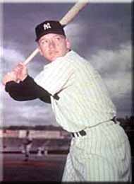 �j��ō��̃X�C�b�`�q�b�^�[�̃}���g���B