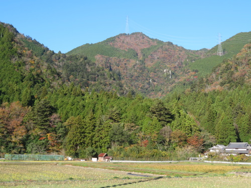 高場山 巨岩と滝の連なる掛ヶ谷から高場山へ - 兵庫の山々 山頂の岩石