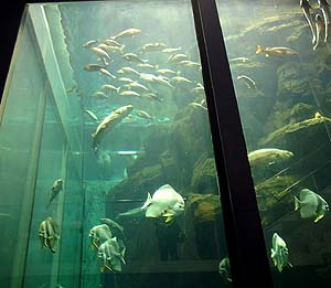 kinosaki42.jpg (20879 �o�C�g)