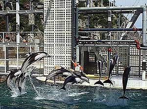 kinosaki43.jpg (43231 �o�C�g)