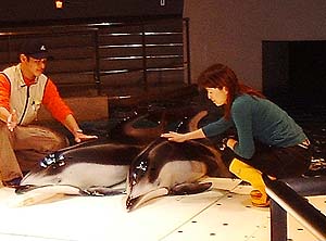 kinosaki44.jpg (21256 �o�C�g)