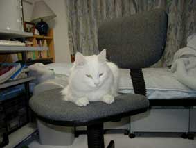 ���ނ���ǂ���