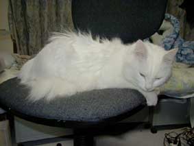 �����ƃV�r��邺