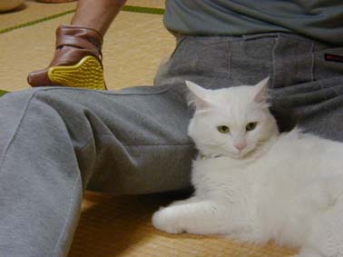 �������Ă��ȁI