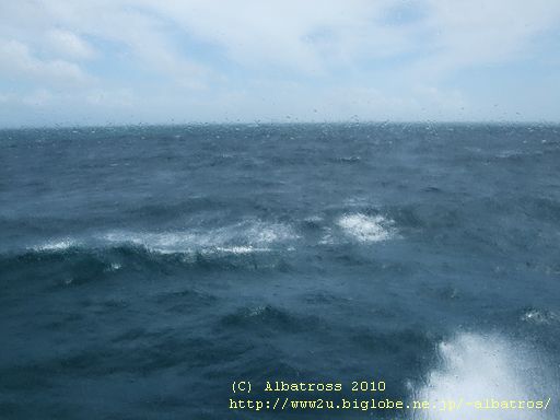 豊後水道・台風のうねり?