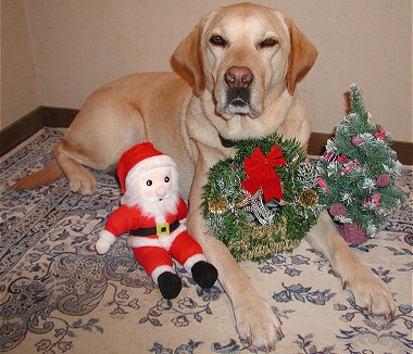 ���N���F�l�ɂƂ��ėǂ��N�ɂȂ�܂��悤�ɁB�i�A���b�N�X�j