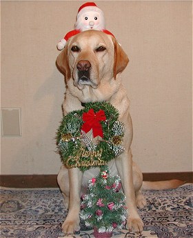 ���N���݂�ȗ��ĂˁB�i�A���b�N�X�j