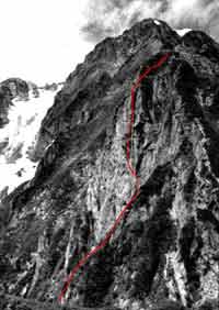 ���x�_�C�������h�t�F�[�X