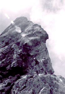 �`���l���Ő�