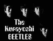 The Beetles banner