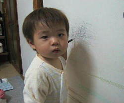 �������珑��