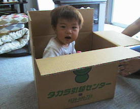 �����葧�q