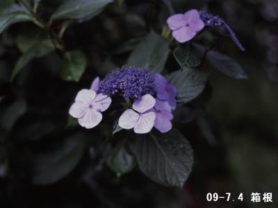 �N���b�N����Ƒ傫���Ȃ�܂��B301KB