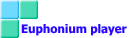 Euphonium player