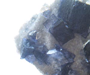 Purple Fluorite & Sphalerite & Calcite on Limestone
