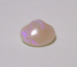 shell opal