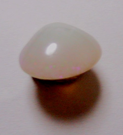 shell opal