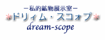 dream-scope