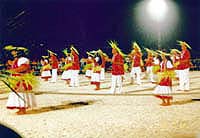 �p�C�^�x�̒��Ń_���X�I�茠